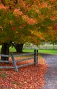 Cover of Red Leaves by Wooden Fence Royalty Free Stock Photo