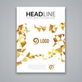 Cover report colorful gold triangle geometric prospectus design background, cover flyer magazine, brochure book cover