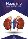 Cover template with Human low poly kidneys with vein and aorta, Royalty Free Stock Photo