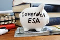 Coverdell ESA Education Saving Account. Piggy bank and money