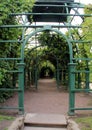 Covered alley berso in the Upper Garden of Peterhof. Royalty Free Stock Photo