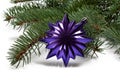 Covered with branch of a Christmas tree and deep purple star Royalty Free Stock Photo