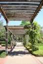 Covered garden path in Dallas Arboretum