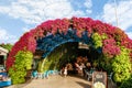 Covered gazebo near a small restaurant on site of the botanical Dubai Miracle Garden in Dubai city, United Arab Emirates