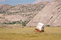 Covered Handcart Royalty Free Stock Photo