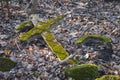 Covered with moss fallen cross of an abandoned grave at an old cemetery