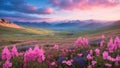 Covered in pink and blue small wildflowers beautiful Mountain valley Royalty Free Stock Photo