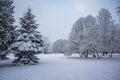 Covered in snow white trees in public park in Riga, Latvia Royalty Free Stock Photo