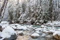 Quick stream in the winter snowy forest