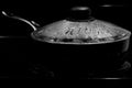 Covered Steamed Vegetables on Stove Royalty Free Stock Photo