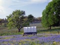 Covered wagon Royalty Free Stock Photo