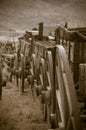 Covered Wagons Royalty Free Stock Photo