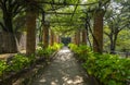 Covered Walkway in Villa Cimbrone Gardens