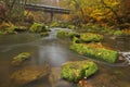 River with a covered bridge in a forest in autumn Royalty Free Stock Photo