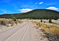 Dirt Road in Santa Fe National Forest in New Mexico Royalty Free Stock Photo