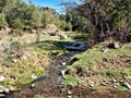 Polvadera Creek in Santa Fe National Forest in New Mexico Royalty Free Stock Photo