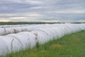 Covering with a film of harvest, hay for storage, preparation of fodder for livestock for the winter