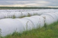 Covering with a film of harvest, hay for storage, preparation of fodder for livestock for the winter