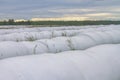 Covering with a film of harvest, hay for storage, preparation of fodder for livestock for the winter