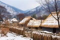 covering of snow on thatched roofs in mountain village