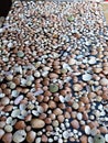 Covering a table with seashells