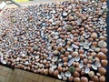 Covering a table with seashells