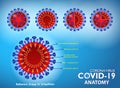 Set of realistic covid-19 anatomy background concept or realistic vaccine ampule syringe or covid-19 prevention concept Royalty Free Stock Photo