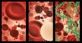 Covid, blood and cell structure of disease closeup in series for medical investigation or research. Virus, bacteria and