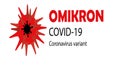 Covid 19 or corona virus - omicron is the largest amount of mutated virus