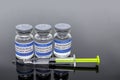 Covid-19, CoronaVirus drug vaccine vials, medicine bottles, syringe injection. SARS-CoV-2 Vaccination, immunization, treatment to Royalty Free Stock Photo