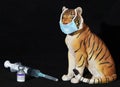 COVID-19 coronavirus vaccine, injection syringe and Tiger figurine