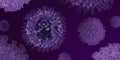 COVID-19 epidemic. Microscopic view of coronavirus cells on violet background, illustration with blank space. Panorama