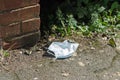 COVID Facemask dropped on pavement