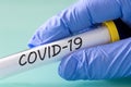 Covid-19.  Laboratory vial with a virus in a hand in a blue glove Royalty Free Stock Photo