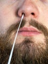 Covid-19 nasal swab test, taking nasal mucus test sample, Cotton swab from the throat and nose close-up macro Royalty Free Stock Photo