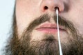 Covid-19 nasal swab test, taking nasal mucus test sample, Cotton swab from the throat and nose close-up Royalty Free Stock Photo