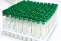 Covid-19 outbreak blood test. Close up view of empty test tubes for blood samples of Coronavirus patients, on a rack. Royalty Free Stock Photo