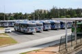 Bus fleet at Alvorada terminal