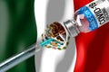 Covid-19, SARS-CoV-2, coronavirus vaccination programme in Mexico, vial and syringe