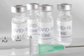 Covid-19 vaccine vials. Coronavirus pandemic infection. Prevention vaccination Royalty Free Stock Photo