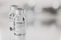 COVID-19 vaccine vials on gray blur background. 3d rendering illustration