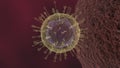 COVID-19 Virus attacking a cell animation