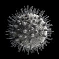 COVID19 virus . Electron microscopic view . Created by generative AI