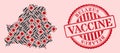 Covid Virus Vaccine Mosaic Belarus Map and Scratched Vaccine Seal