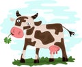 COW