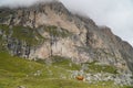 Cow on Alp in the Dolomite Mountains in front of a high mountain / Mastle Alp / Puez Geisler Nature Park