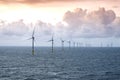 Cow in alpine landscapeSunset over offshore wind farm - green power generation