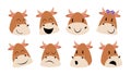 Cow animal character in various action poses vector illustration Royalty Free Stock Photo