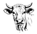 Cow animal sketch hand drawn Vector illustration Cartoon image Farming Royalty Free Stock Photo