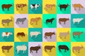 Cow of animal vector flat set icon.Isolated flat icon farm animal of cow.Vector illustration cattle for farm on white